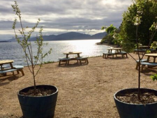 32440637_1487017258110085_6626670681260032000_n