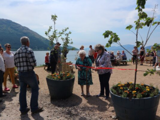 picnic_site-opening (1)